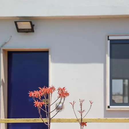 Salento Sea & Sun Apartment *